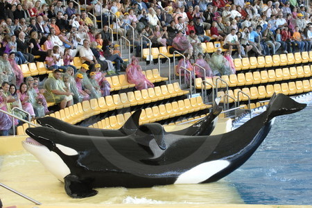 Loro Parque