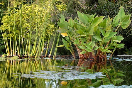 Botanischer Garten