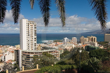 Puerto de la Cruz