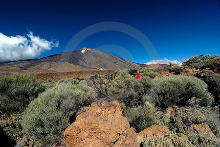 Pico del Teide