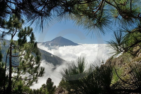 Pico del Teide