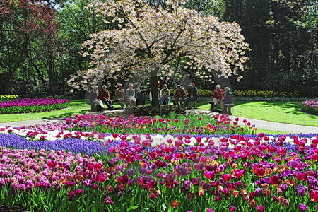 Keukenhof