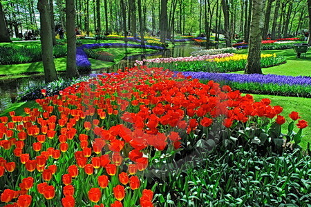 Keukenhof