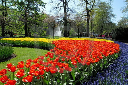 Keukenhof