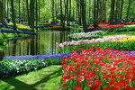 Keukenhof