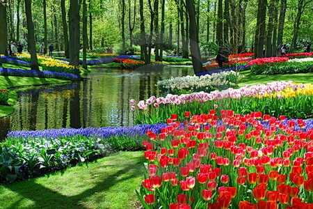 Keukenhof