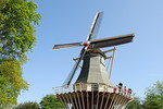 Keukenhof