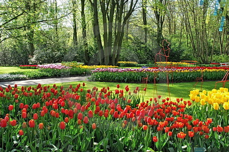 Keukenhof