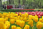 Keukenhof