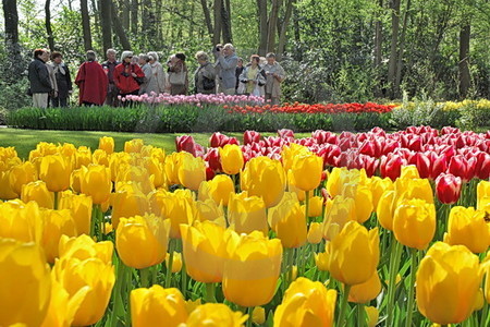 Keukenhof