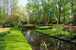 Keukenhof