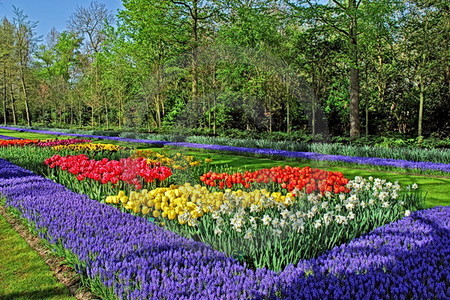 Keukenhof