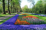 Keukenhof