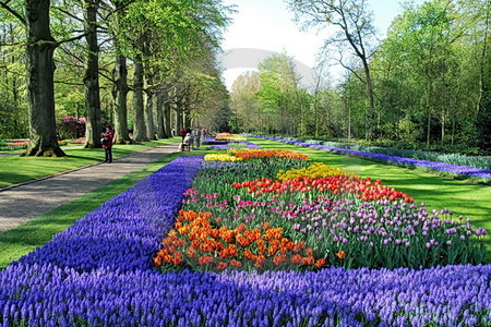 Keukenhof