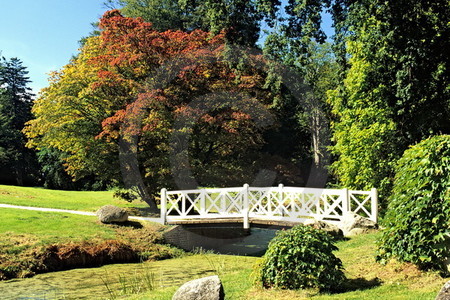 Brücke im Park