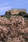 Burgruine Staufen