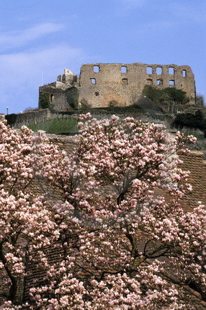 Burgruine Staufen