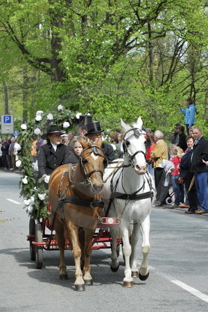 Kutschenwallfahrt