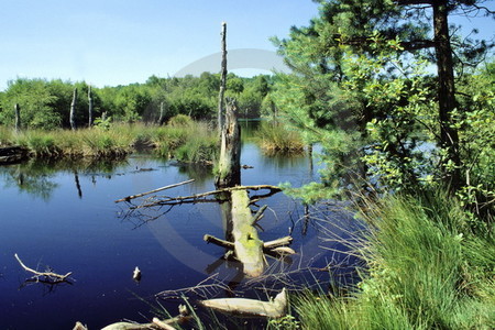 Venner Moor in Senden