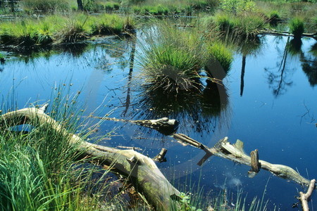 Venner Moor in Senden