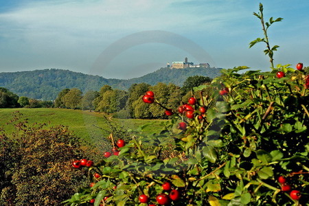 Wartburg