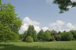 Park an der Ilm