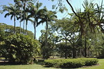 Botanic Gardens