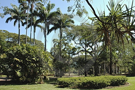 Botanic Gardens