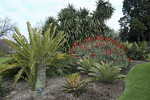 Royal Botanical Gardens