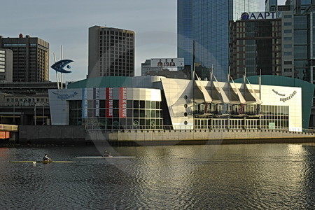 Am Yarra River