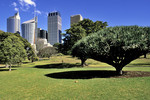 Sydney Skyline