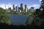 Sydney Skyline