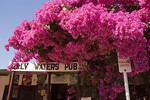 Daly Waters Pub