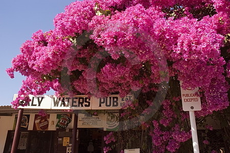 Daly Waters Pub