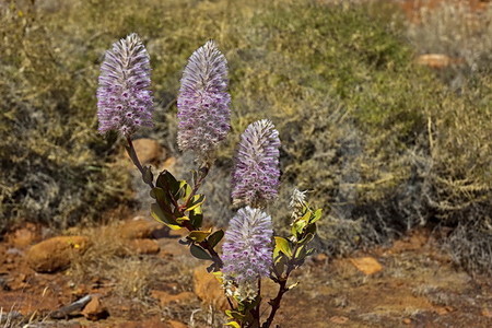 Valley of the Winds Walk