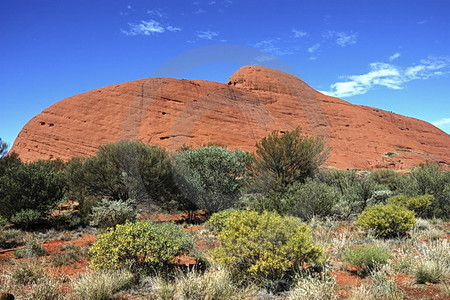 Kata Tjuta (Olgas)