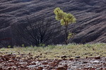 Valley of the Winds