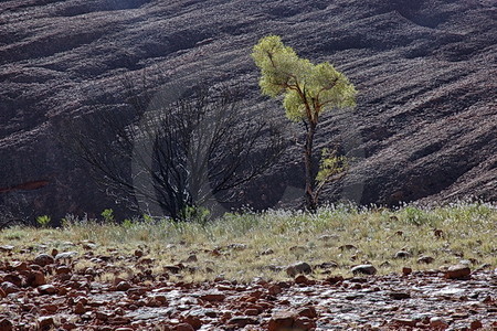 Valley of the Winds