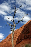 Valley of the Winds Walk