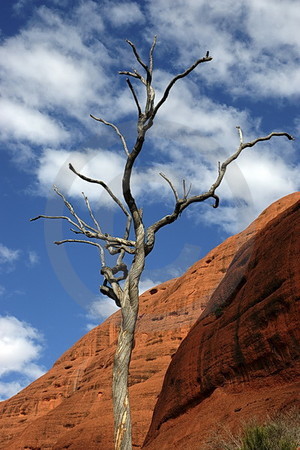 Valley of the Winds Walk