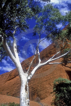 Valley of the Winds Walk