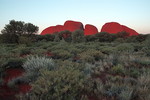 Kata Tjuta (Olgas)