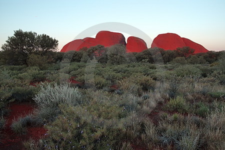 Kata Tjuta (Olgas)