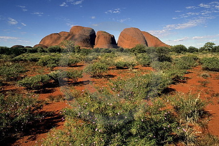 Landschaft an den Olgas