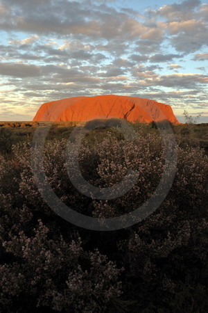 Der Uluru im Abendlicht