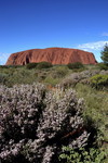 Ayers Rock (Uluru)