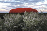 Der Uluru im Abendlicht