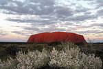 Der Uluru im Abendlicht