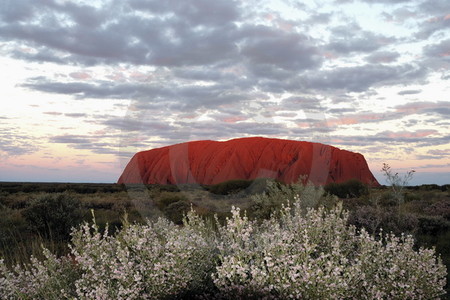 Der Uluru im Abendlicht