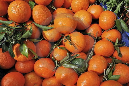 Orangen